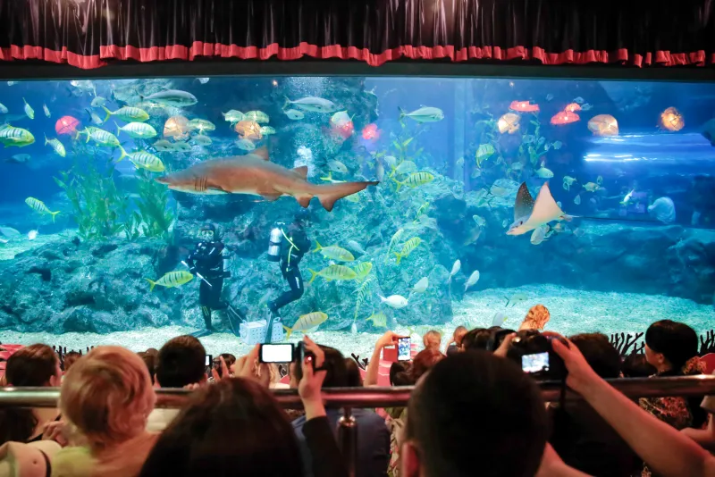 เที่ยวสงกรานต์ 2568 ที่ซีไลฟ์แบงคอก