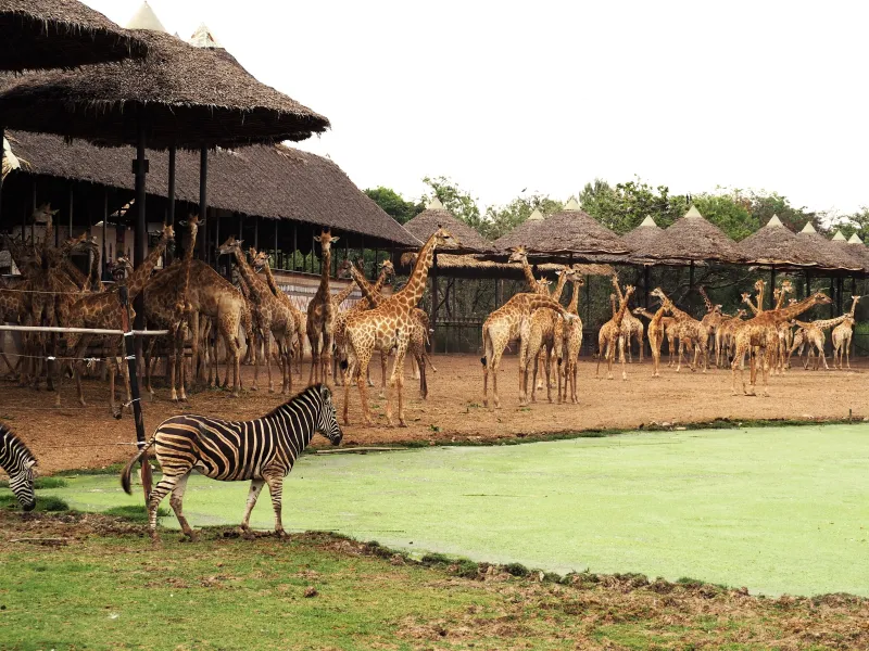 เที่ยวสงกรานต์ 2568 ที่สวนสัตว์