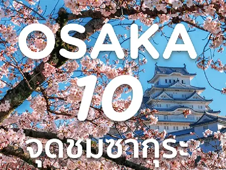 ซากุระ โอซาก้า