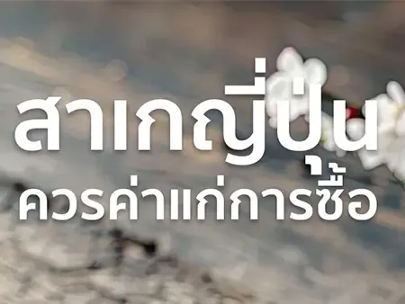 สาเกญี่ปุ่น ยี่ห้อไหนอร่อย ควรค่าแก่การซื้อเป็นของฝากในปี 2026