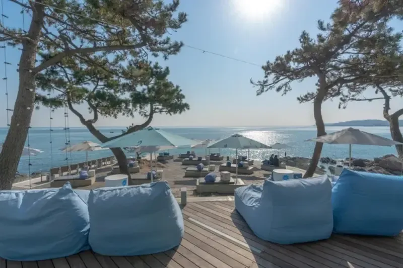 คาเฟ่ SANIDA Cafe เที่ยวเกาหลีต้องไปเช็คอิน