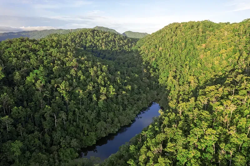 หมู่เกาะราชาอัมพัต (Raja ampat)