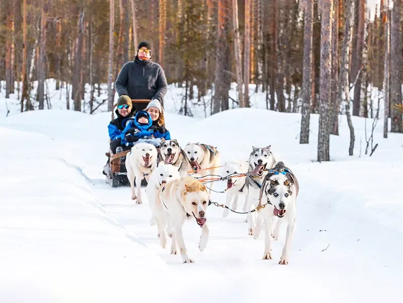 แลปแลนด์ ฟินแลนด์