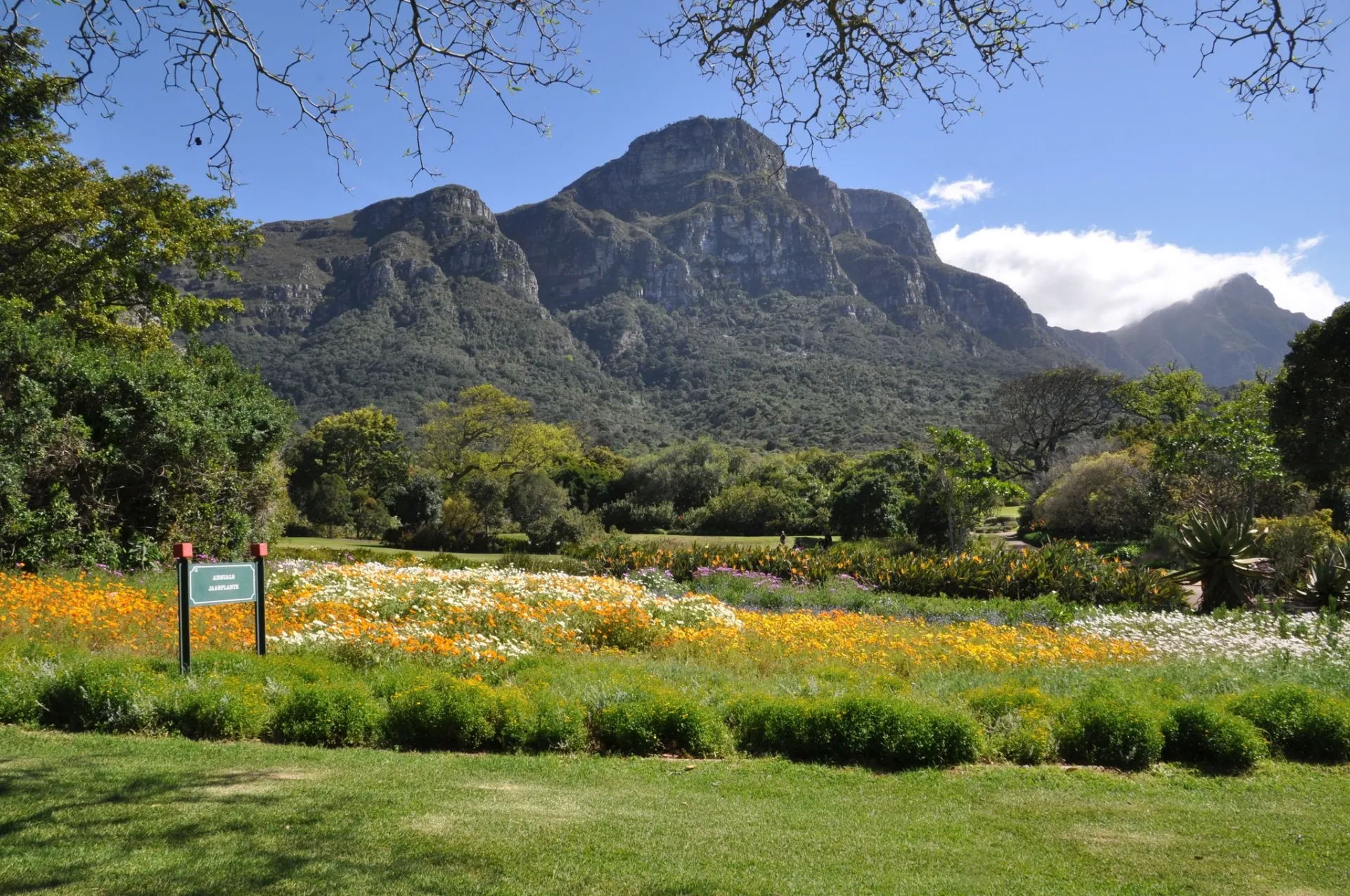 เที่ยว Cape Town ที่ไหนดี