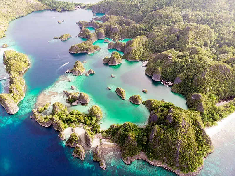  หมู่เกาะราชาอัมพัต (Raja ampat)