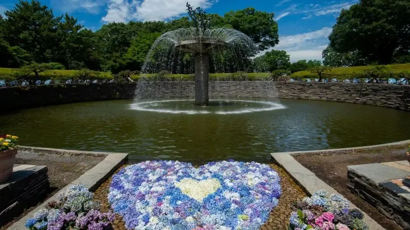 ที่เที่ยวใกล้โตเกียว สวนสาธารณะโชวะคิเน็น