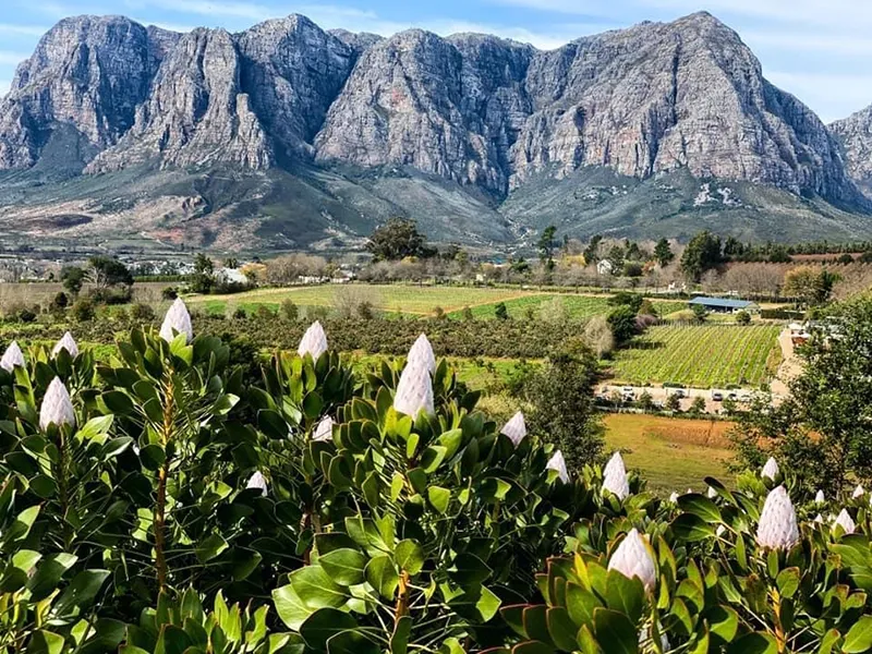 เที่ยวแอฟริกาใต้