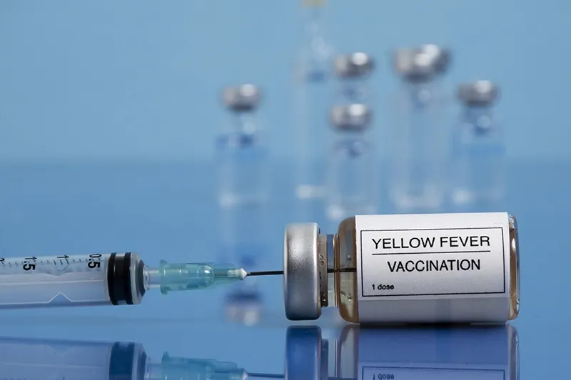 การเตรียมตัวเดินทางแอฟริกาใต้