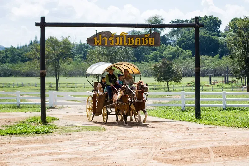 กิจกรรมวันหยุด