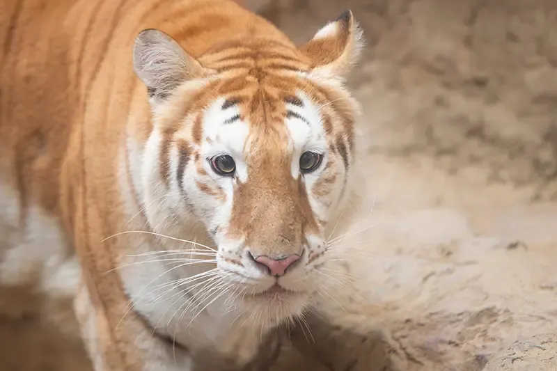 กิจกรรมวันหยุด