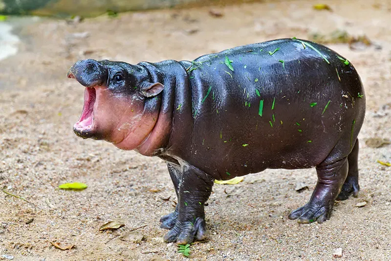 กิจกรรมวันหยุด