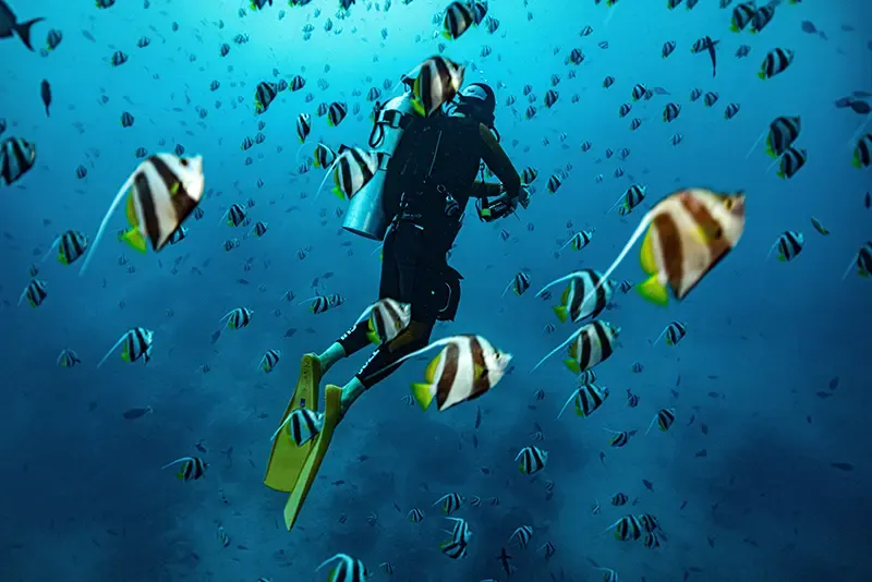 กิจกรรมมัลดีฟส์