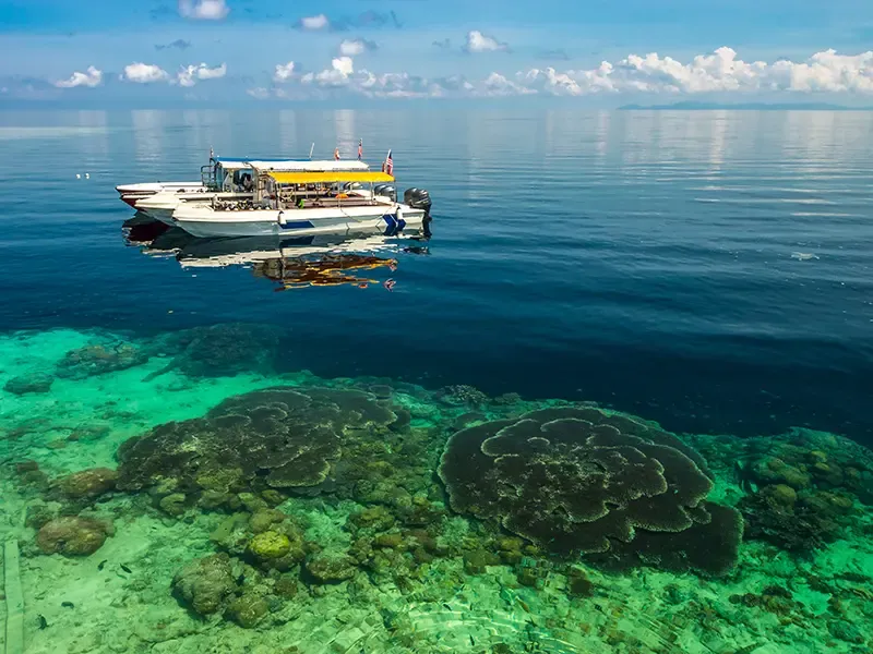 กิจกรรมมัลดีฟส์