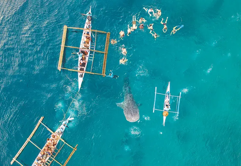 เซบู ฟิลิปปินส์