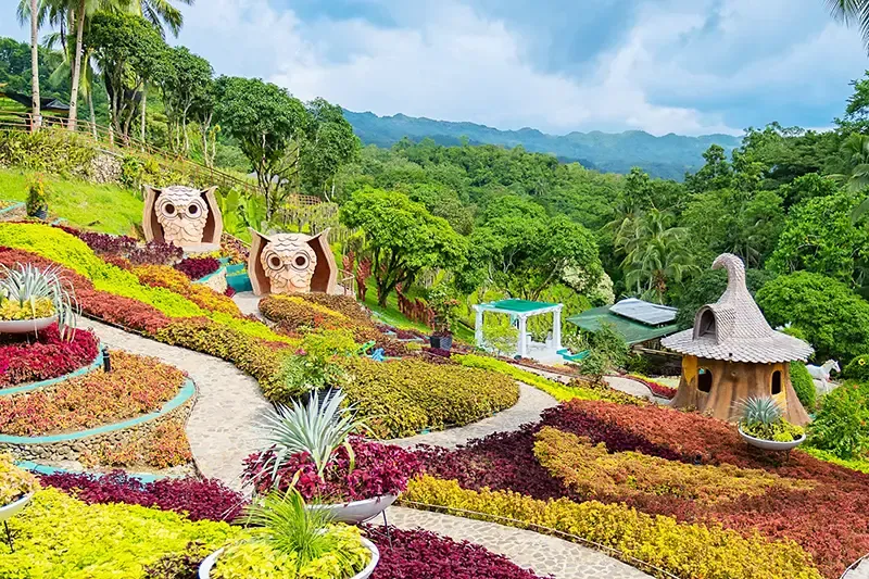 เซบู ฟิลิปปินส์