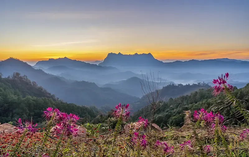 เชียงดาว ที่เที่ยว เชียงดาว ที่เที่ยว