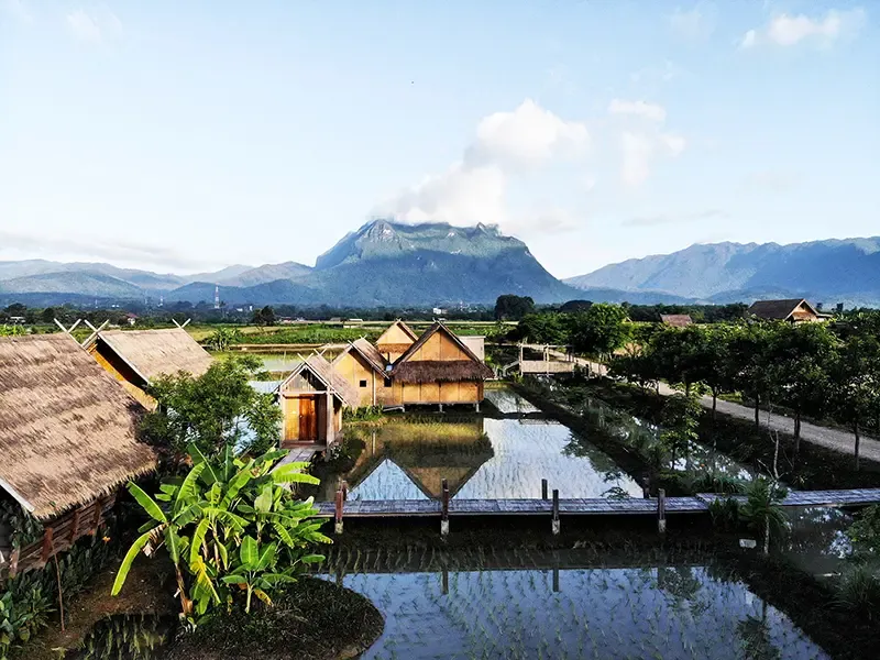 เชียงดาว ที่เที่ยว เชียงดาว ที่เที่ยว