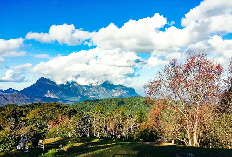 เชียงดาว ที่เที่ยว เชียงดาว ที่เที่ยว