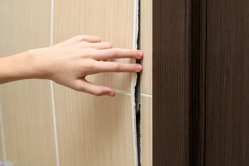 แผ่นดินไหว แผ่นดินไหว