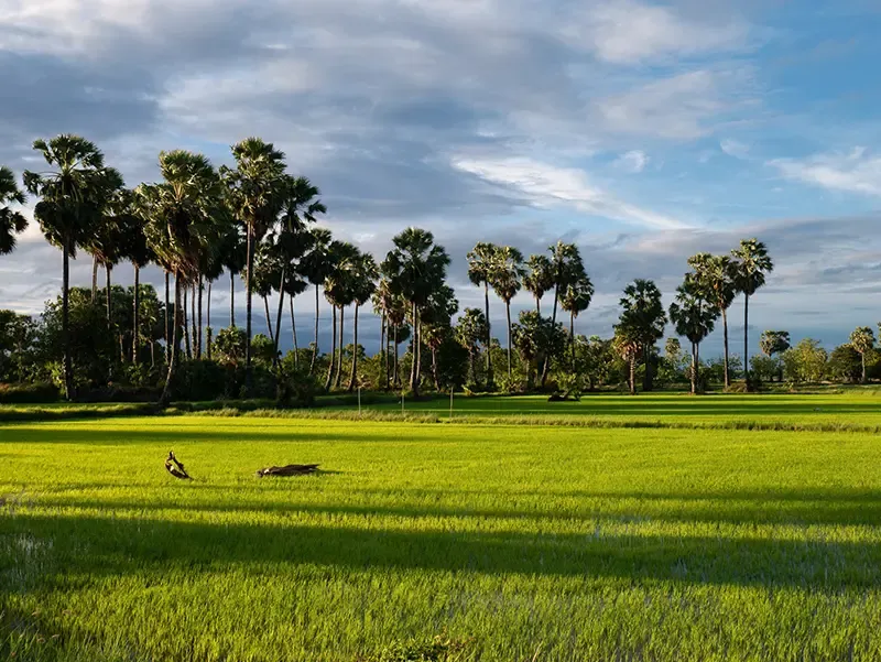 ที่เที่ยว Green Season