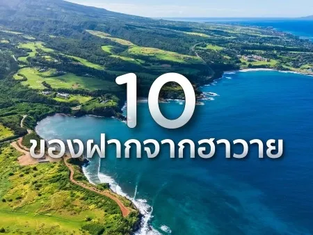 รวม 10 ของฝากจากฮาวายปี  2026  สัมผัสเสน่ห์เกาะสวรรค์ผ่านของที่ระลึก
