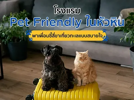 โรงแรม Pet-Friendly หัวหิน ที่พักสบายสำหรับคุณและน้องหมาแมว
