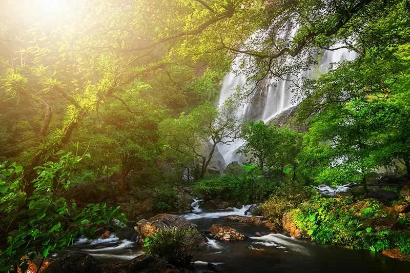 เที่ยวกำแพงเพชร