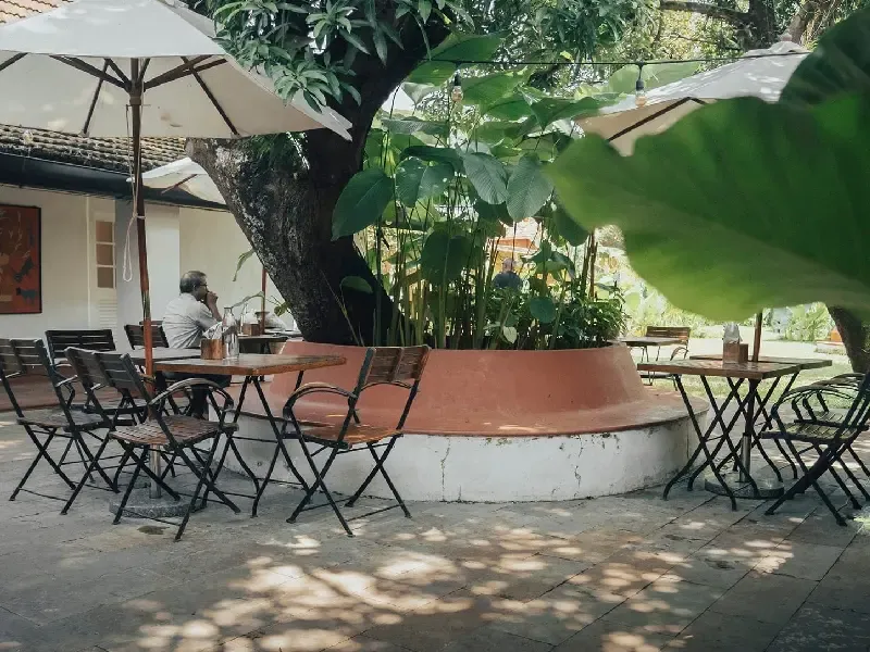 ที่เที่ยว kochi อินเดีย ที่เที่ยว kochi อินเดีย