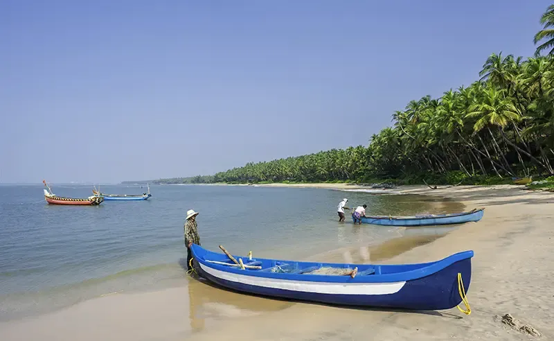 ที่เที่ยว kochi อินเดีย ที่เที่ยว kochi อินเดีย