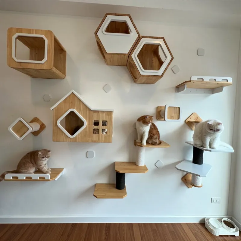 โรงแรม แมว