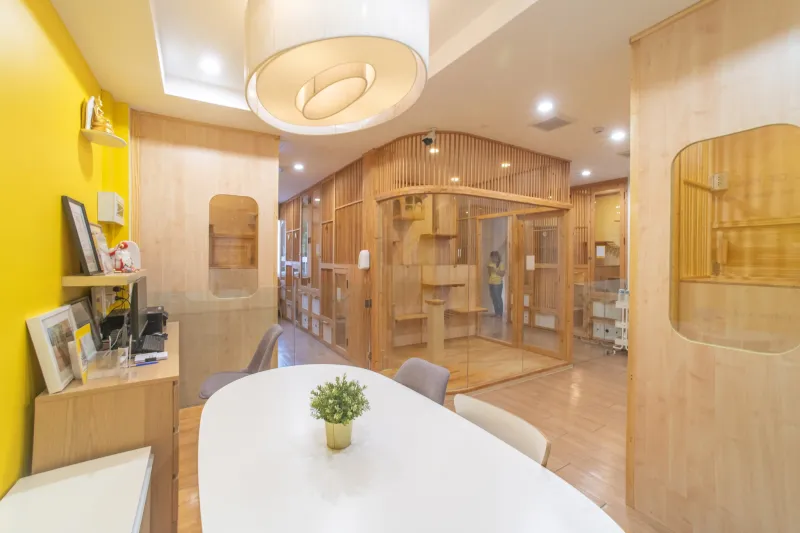 โรงแรม แมว