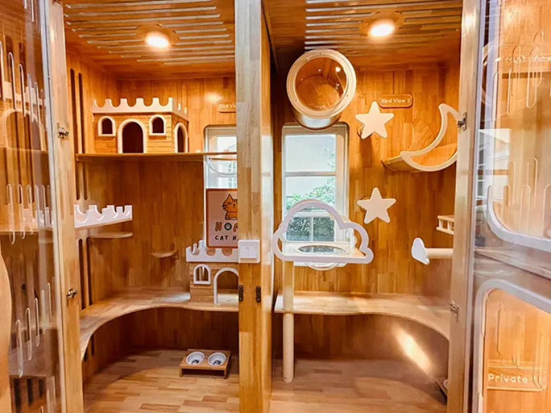 โรงแรม แมว