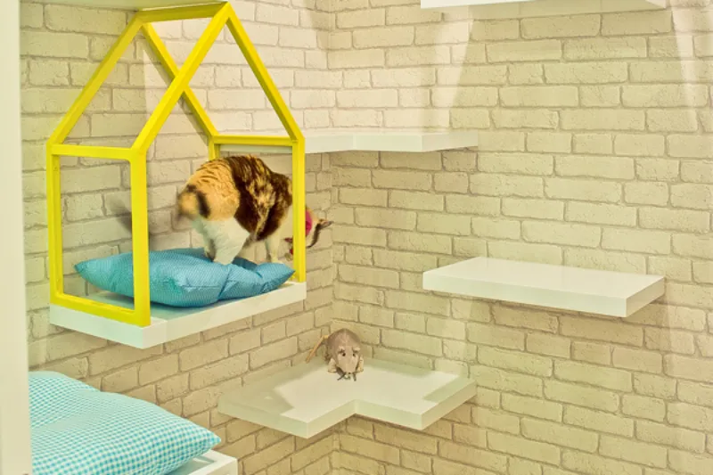 โรงแรม แมว