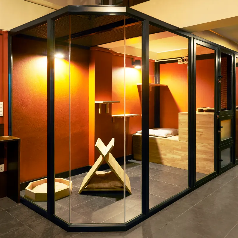 โรงแรม แมว