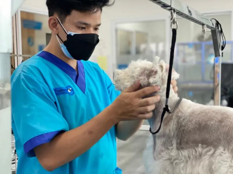 ร้านตัดขนสัตว์ โรงพยาบาลสัตว์ทองหล่อ