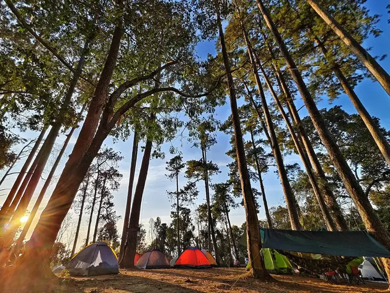 ที่เที่ยวลำพูน