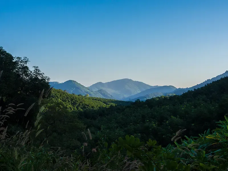 ที่เที่ยวหนองคาย ที่พักหนองคาย ร้านอาหารหนองคาย