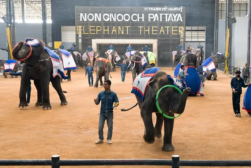 สวนนงนุชพัทยา