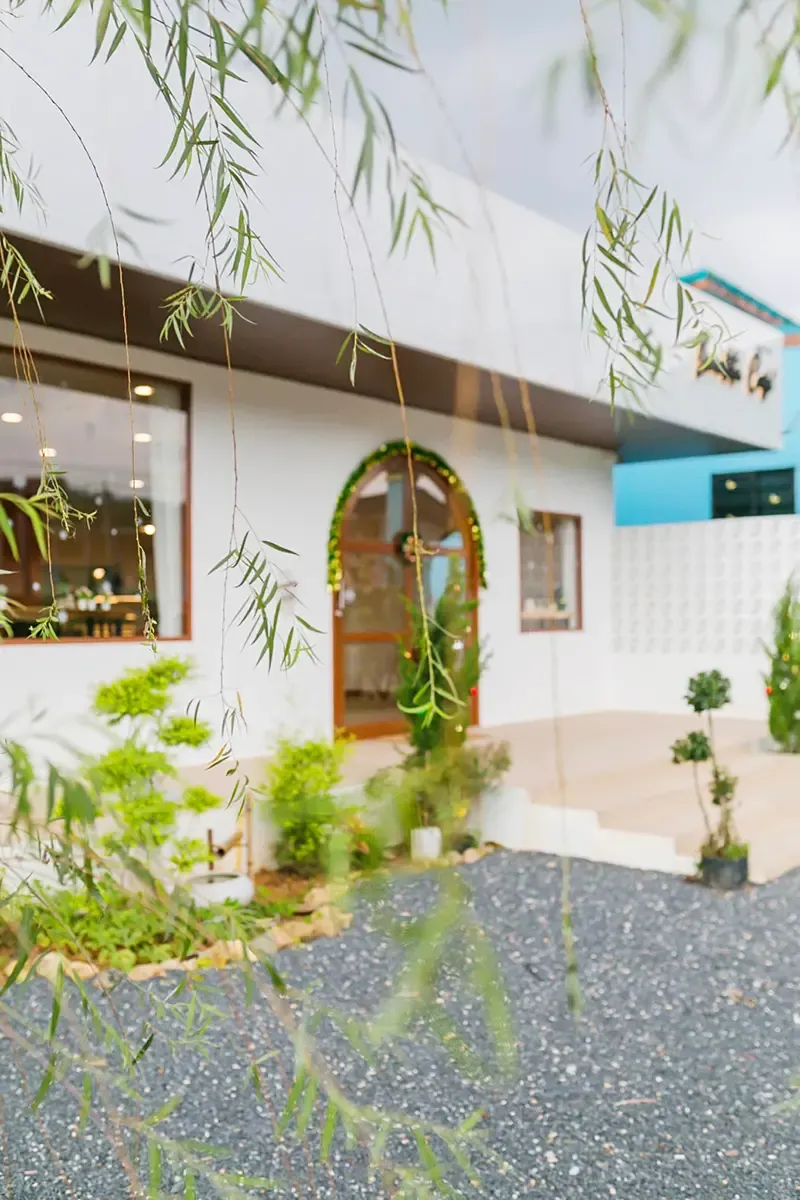 พะโต๊ะ ชุมพร