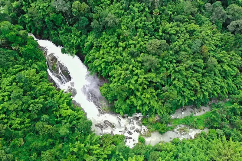 พะโต๊ะ ชุมพร