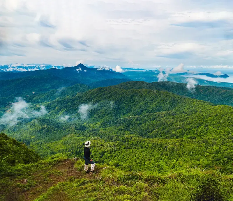 พะโต๊ะ ชุมพร
