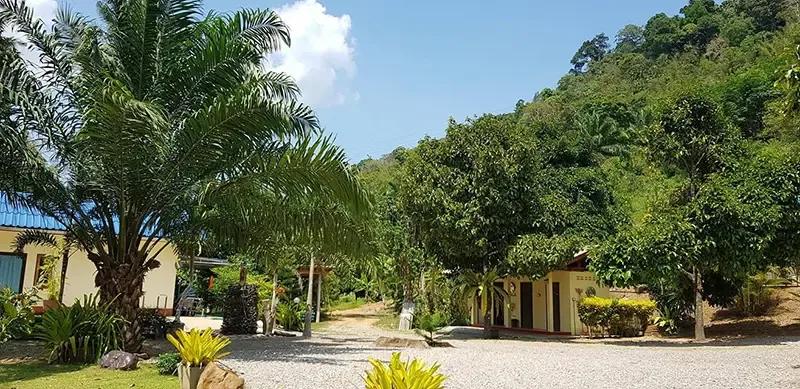 พะโต๊ะ ชุมพร