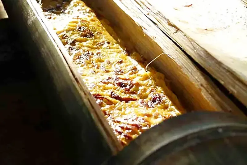 พะโต๊ะ ชุมพร