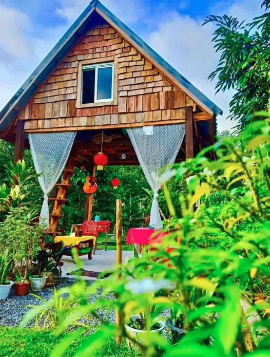 พะโต๊ะ ชุมพร