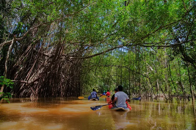 ที่เที่ยวพังงา