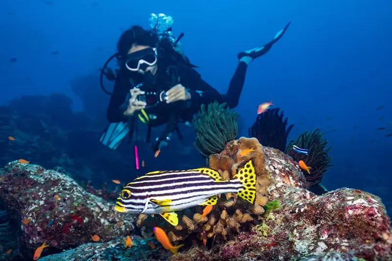 ที่เที่ยวพังงา