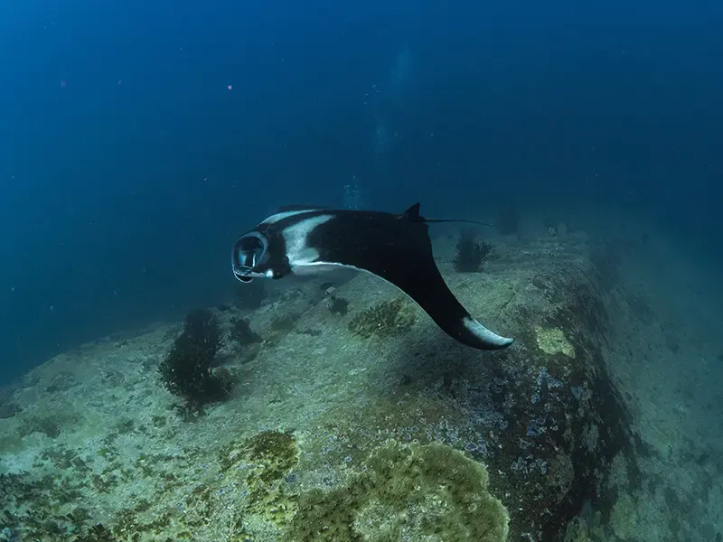 ที่เที่ยวพังงา