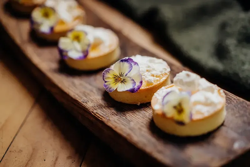 นิวซีแลนด์ เกาะใต้