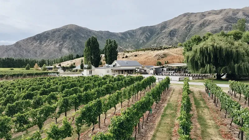 นิวซีแลนด์ เกาะใต้