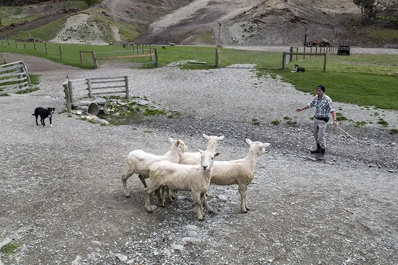 นิวซีแลนด์ เกาะใต้